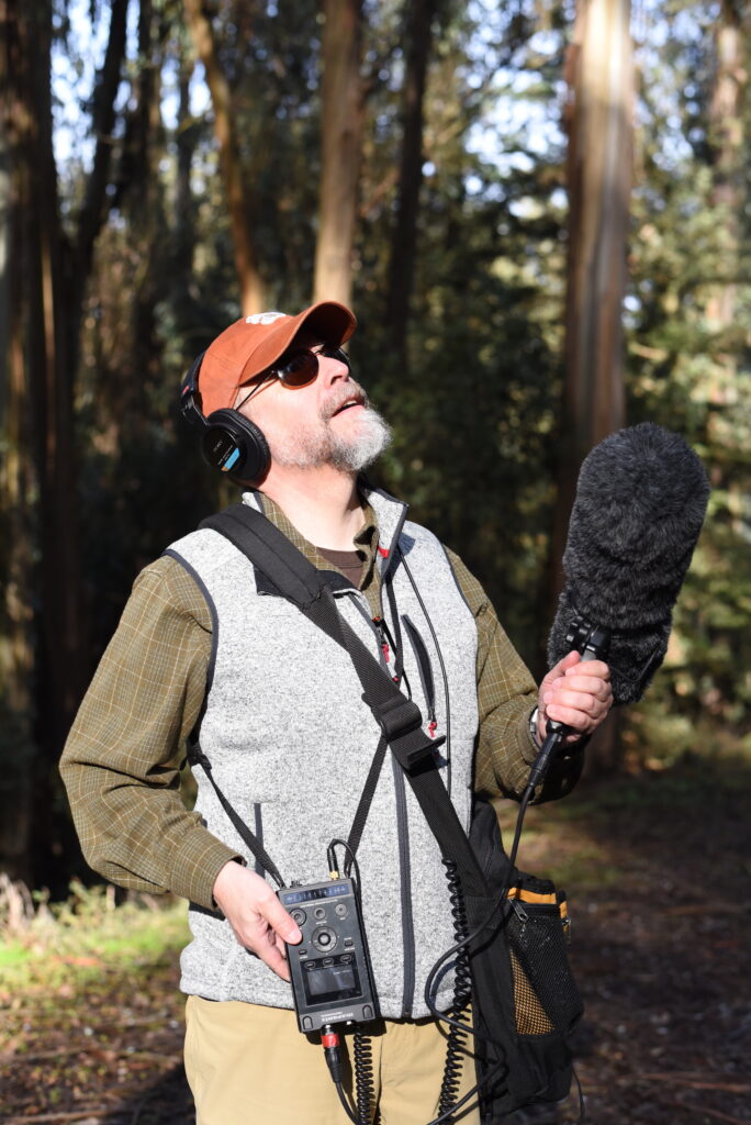 Recording birdsong in Tilden Park with a Sennheiser MKH-60 shotgun and Marantz PMD-661 recorder